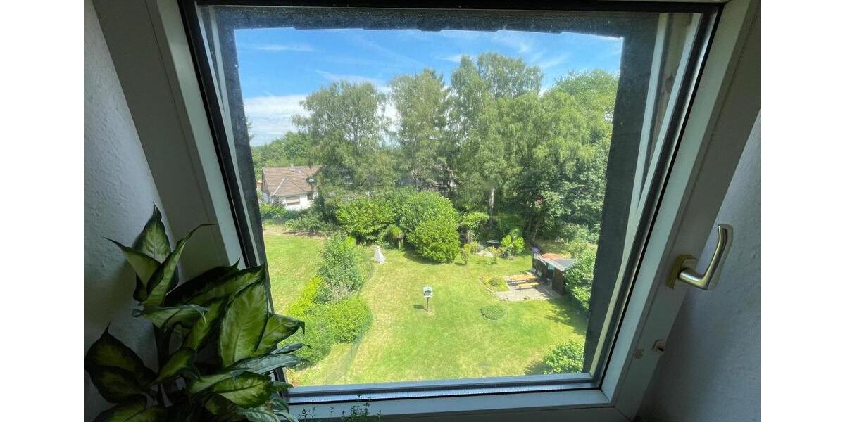 Schön geschnittene & frisch sanierte DG-Wohnung mit Gartennutzung 2 zimmer