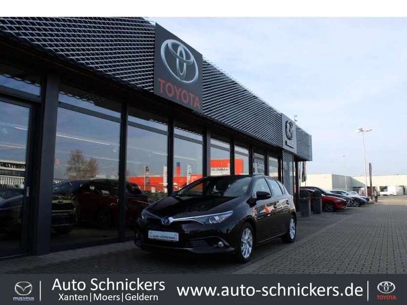 Auris
