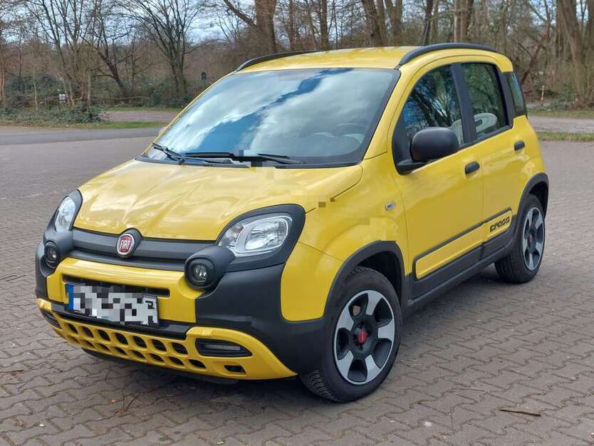Panda