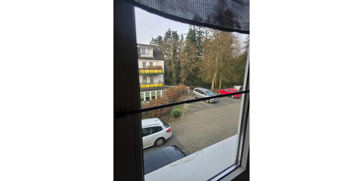 Etagenwohnung Solingen Wald - 2 Zimmer, 54 m&sup2;, 550&euro; | Angebot:25499355