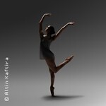 Ballett am Rhein: Grey Area