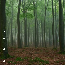In einem tiefen, dunklen Wald - Theater Krefeld und Mönchengladbach