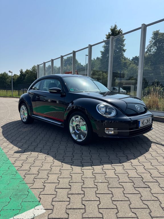 Beetle