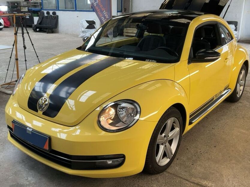 Beetle