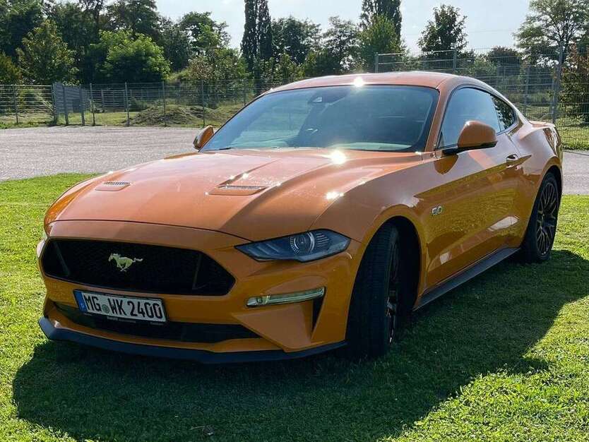 Mustang