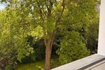Etagenwohnung Düsseldorf Stadtbezirk 9 - 2 Zimmer, 59 m&sup2;, 624&euro; | Angebot:26351226