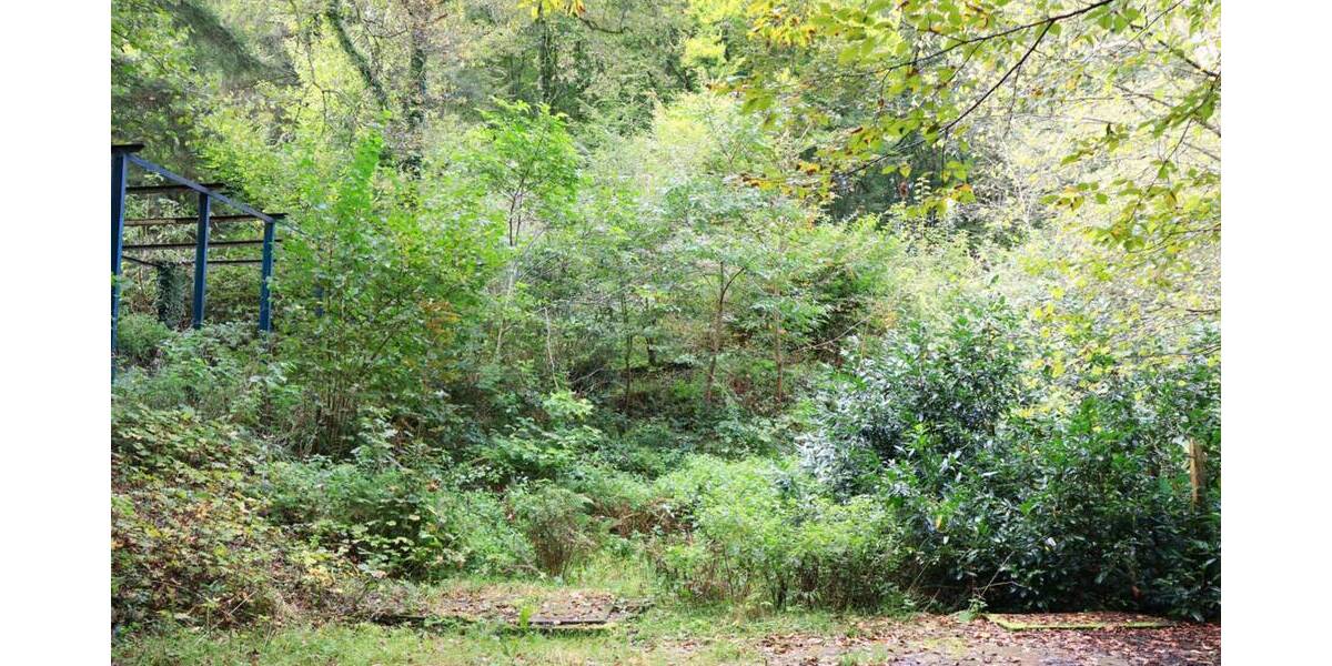 Baugrundstück in grüner Umgebung zimmer