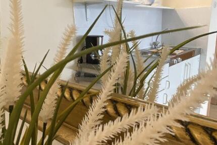 Schicke Single Wohnung (möbliert) nähe urbanes Stadtquartier 