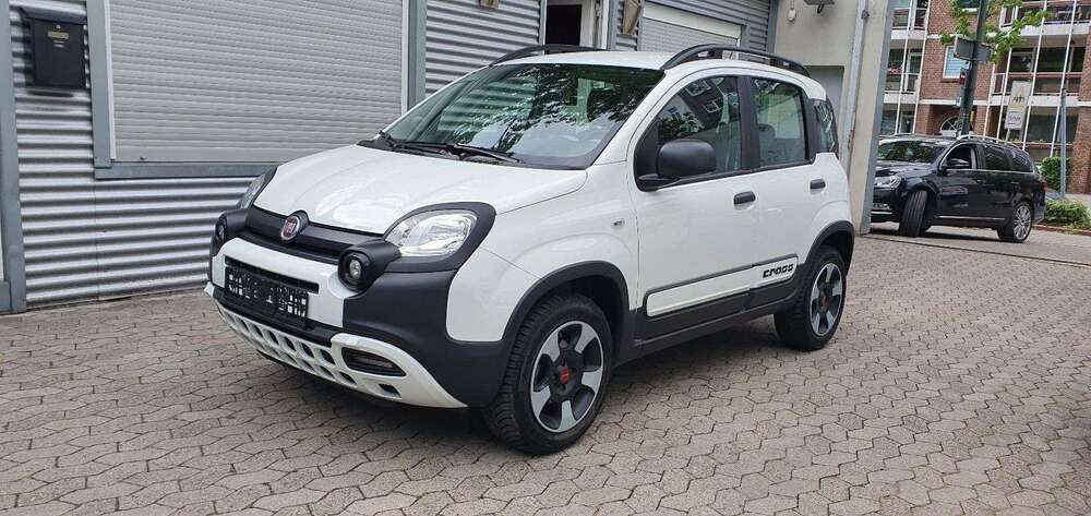 Panda