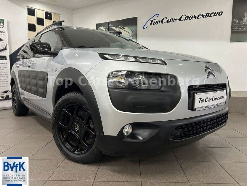 C4 Cactus