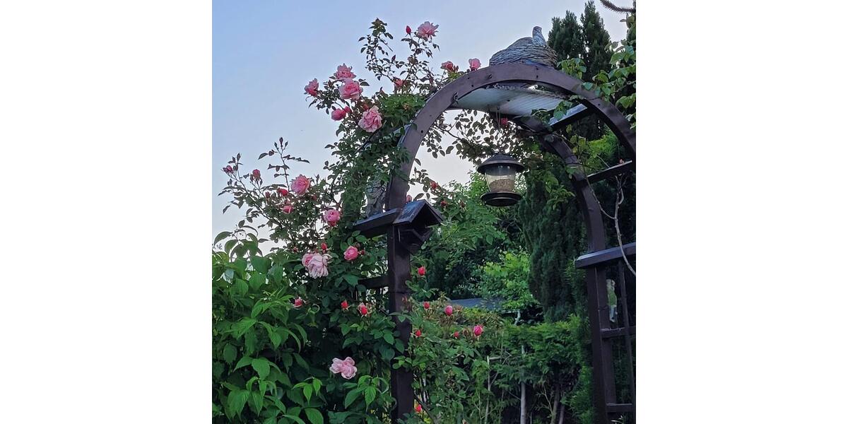 Doppelhaushälfte mit Garten von privat 3 zimmer