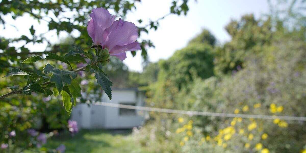 Einfamilienhaus Düsseldorf Urdenbach - 4 Zimmer, 145 m&sup2;, 325.000&euro; | Angebot:24367868