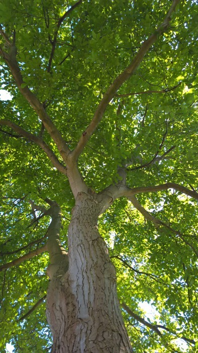 3-Zimmer Wohnung mit Garten in Bergheim Erft, City, u. A.