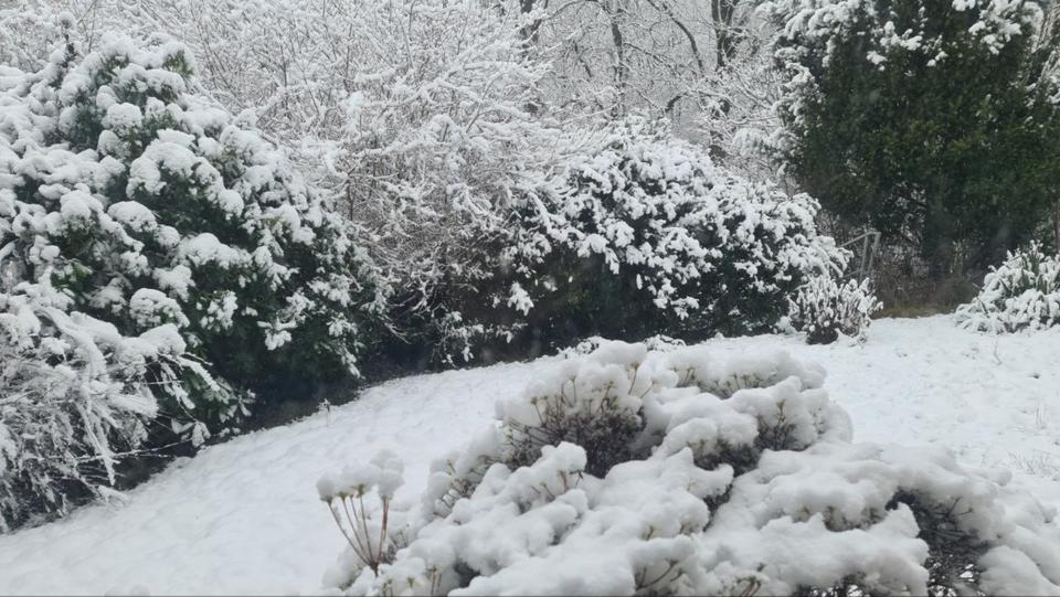 möbliert Haus im Haus 3,5 Zi Terrassen-Wgh. Garten, sep. Eing. 3 zimmer