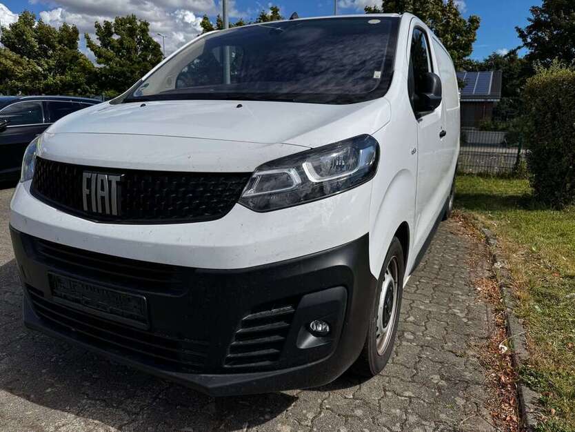 Scudo