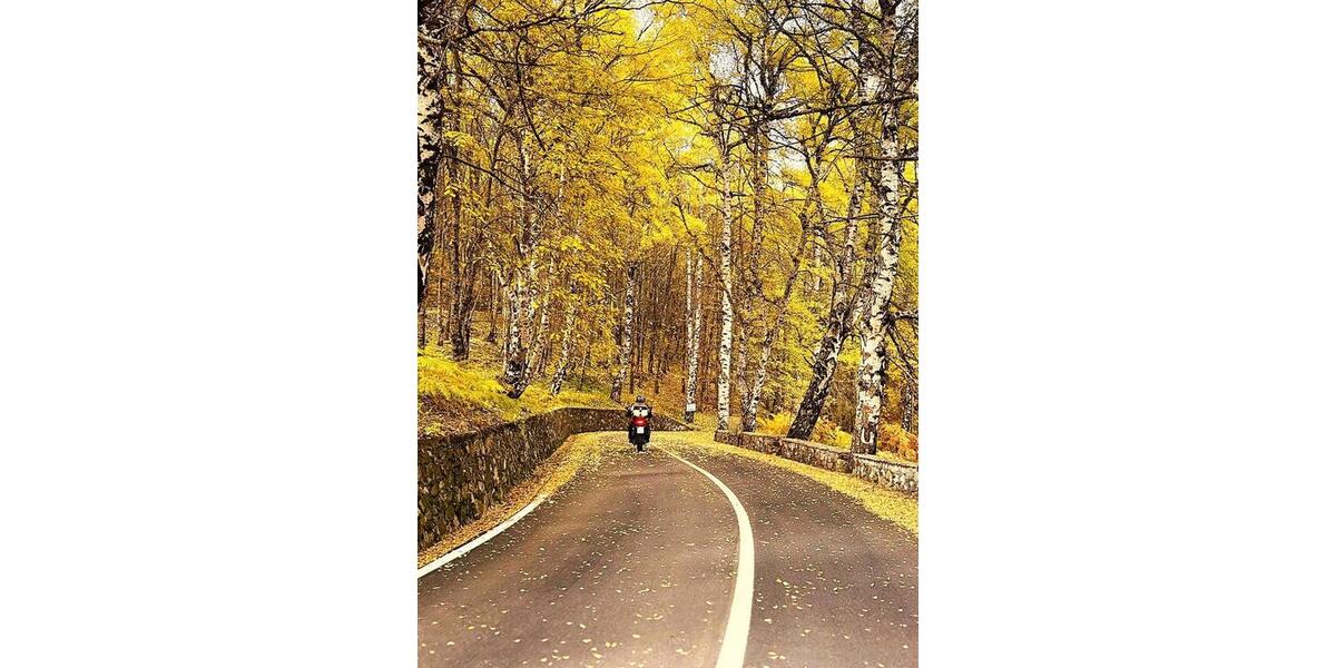 Ferienimmobilie Düsseldorf Stadtbezirk 8 - 37&euro; | Angebot:25562830