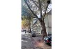 Dachgeschoßwohnung Duisburg - 2 Zimmer, 355&euro; | Angebot:23601997