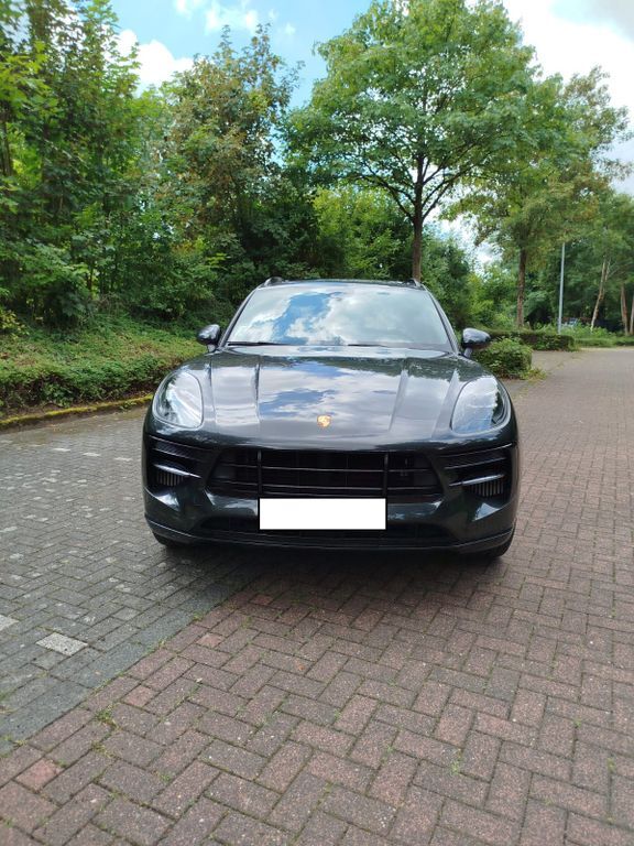 Macan