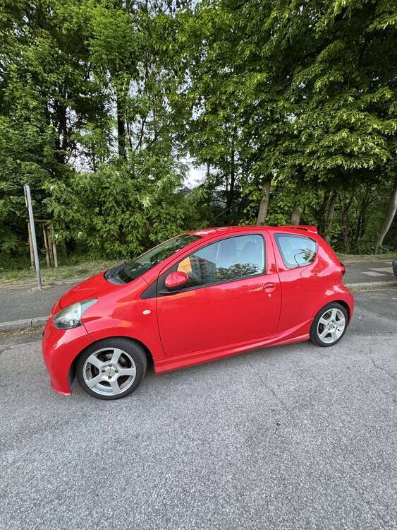 Auris