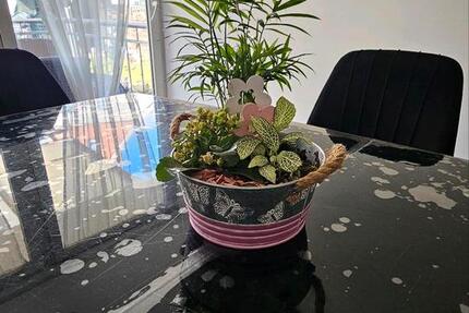 Haus Duisburg Rheinhausen - 5 Zimmer, 110 m&sup2;, 275.900&euro; | Angebot:24866346