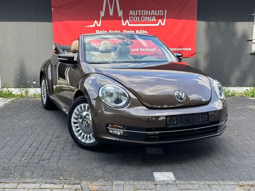 Beetle