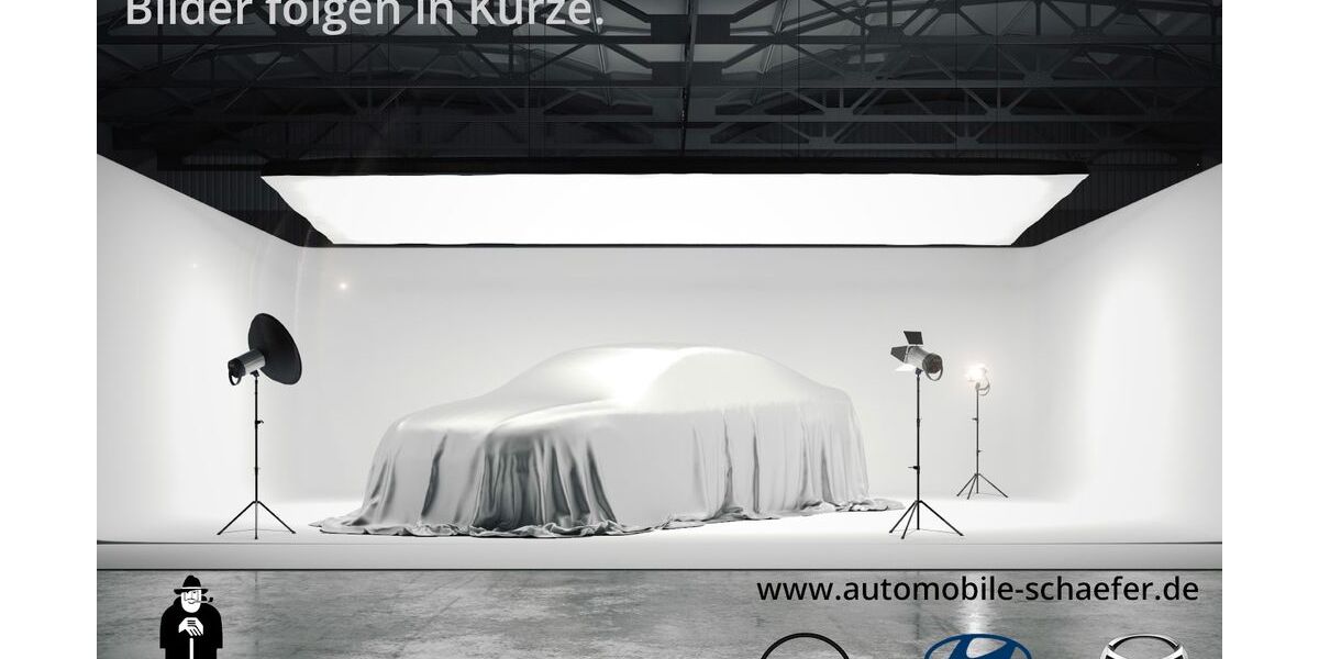 Skoda Fabia 19.424 km 11.685 &euro; Monheim 40789