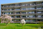 2-Zimmer-TraumWohnung in Solingen-Wald! Ideal für Paare & Singles