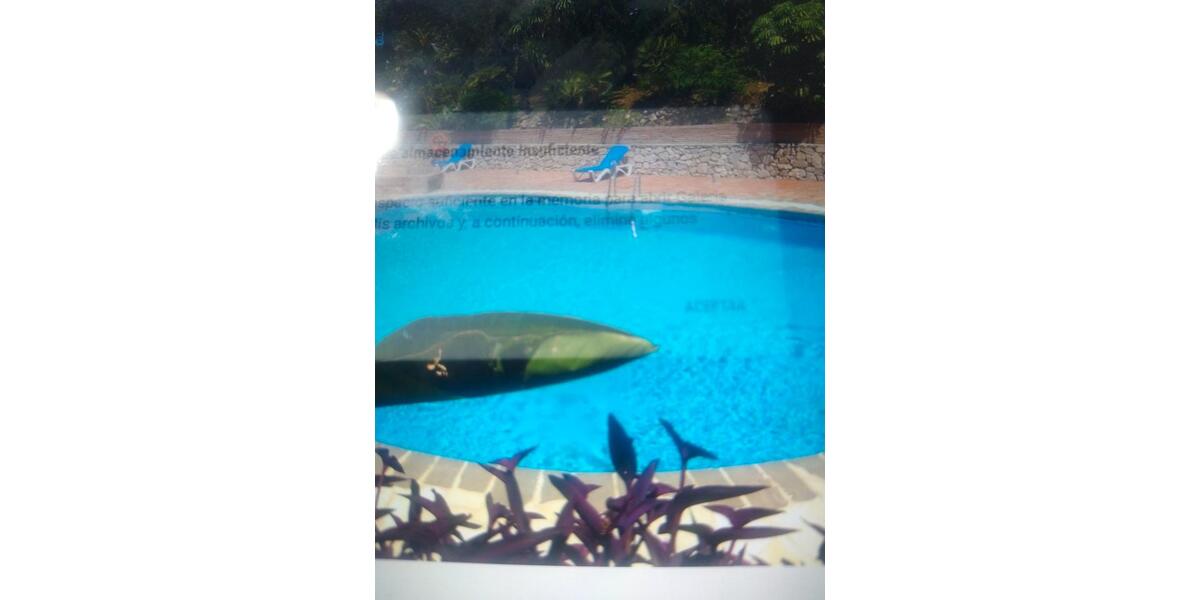 Ferienimmobilie Düsseldorf Lörick - 500&euro; | Angebot:25604349