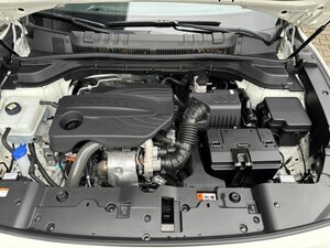 SsangYong TORRES 1.5 Turbo+Sitzheizung+Lenkradheizung+TOP+ 7.872 km 23.998 &euro; Meerbusch 40667