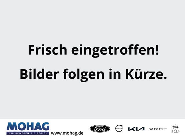 EcoSport