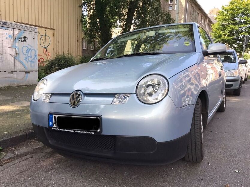 Lupo
