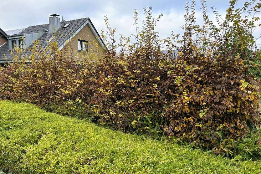 Grundstück zu verkaufen in Meerbusch - Lank 330.000 € 412 m²