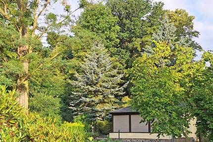 Natur pur in Altenbach: Bungalow mit Wintergarten und Grün, soweit das Auge reicht