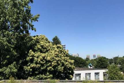Wohnung zum Mieten in Düsseldorf 600 € 25.77 m²