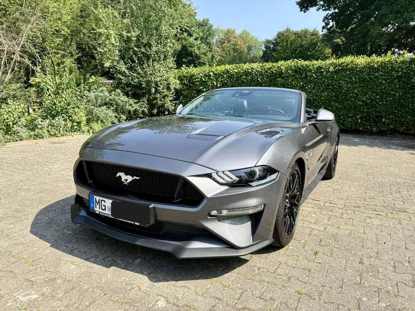 Mustang