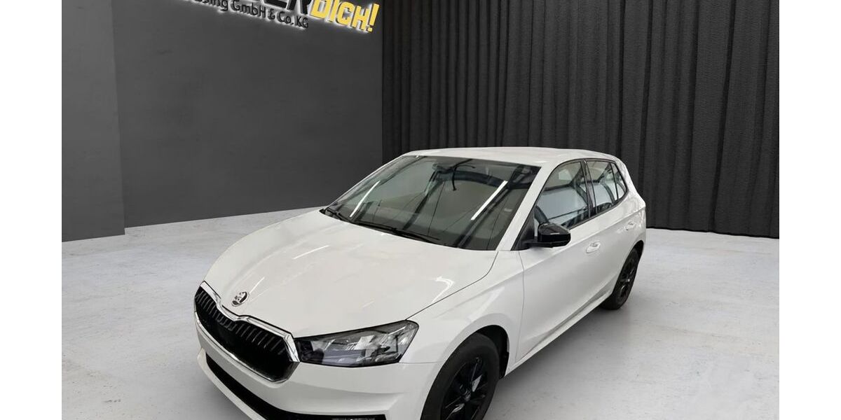 Skoda Fabia 21.195 km 16.950 &euro; Neuss 41460