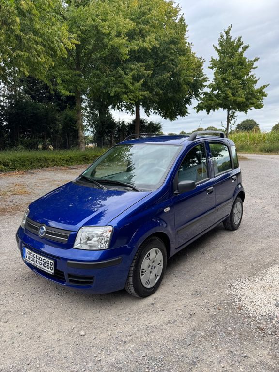 Panda