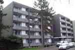 Singlewohnung! 1-Zimmer-Wohnung mit Balkon und Aufzug in Mönchengladbach Schmölderpark 1 zimmer