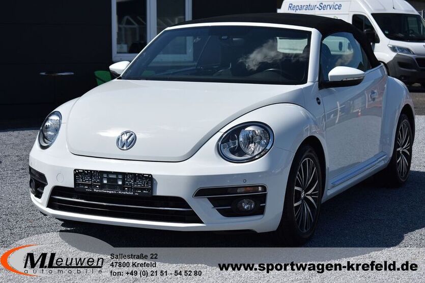 Beetle