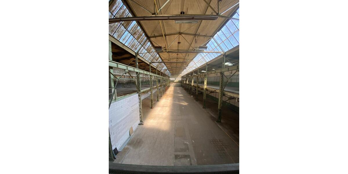 Gewerbeobjekt Leverkusen Alkenrath - 750&euro; | Angebot:26227411