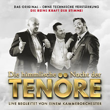 Himmlische Nacht der Tenöre - Das Original - Live und ohne technische Verstärkung 04.02.2026 Ev. Kreuzkirche