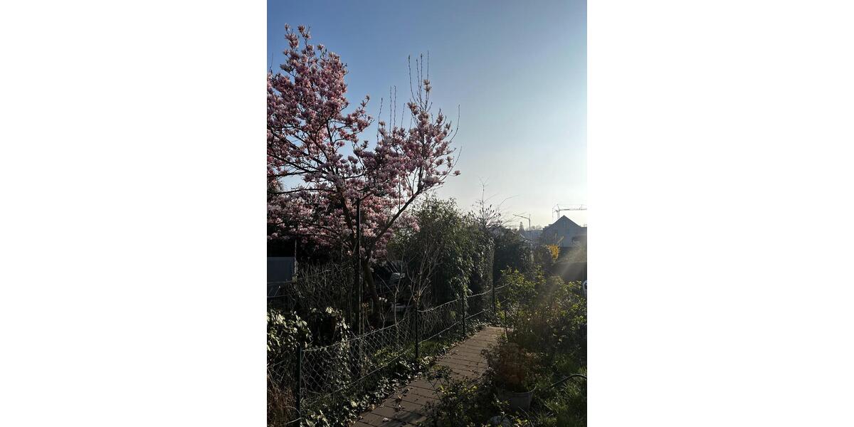 Reihenhaus Viersen Hülsdonk - 149.000&euro; | Angebot:26913504