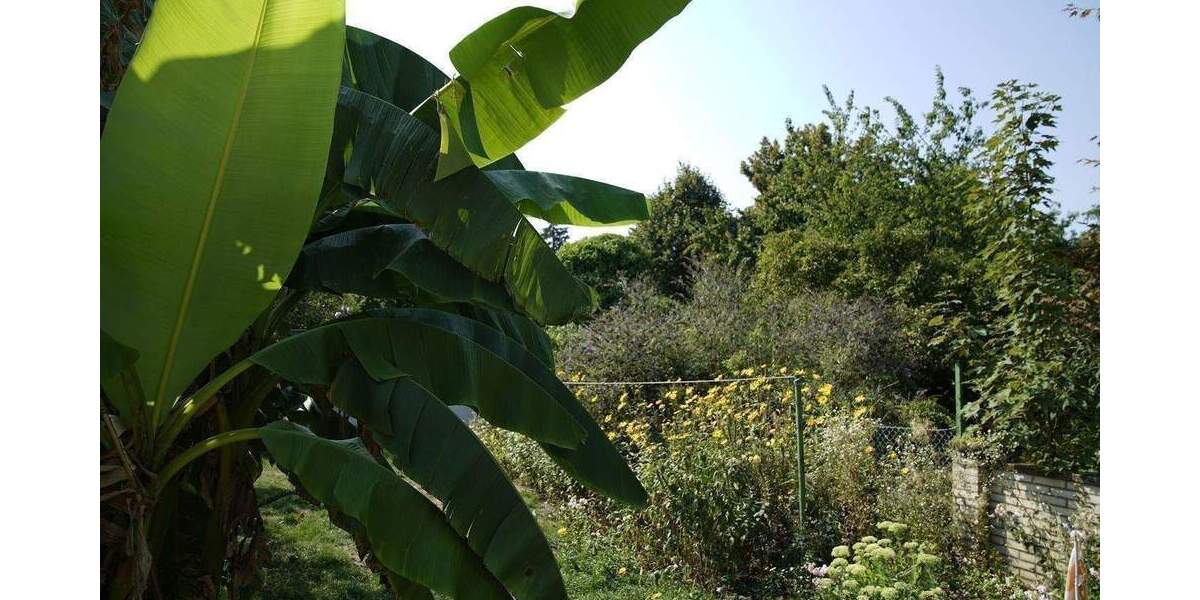 Einfamilienhaus Düsseldorf Urdenbach - 4 Zimmer, 145 m&sup2;, 325.000&euro; | Angebot:25837321