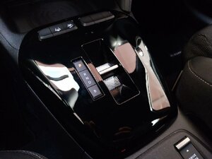 Opel Corsa e GS Matrix LED SHZ LHZ Kam Navi 9.099 km 28.480 &euro; HAAN 42781