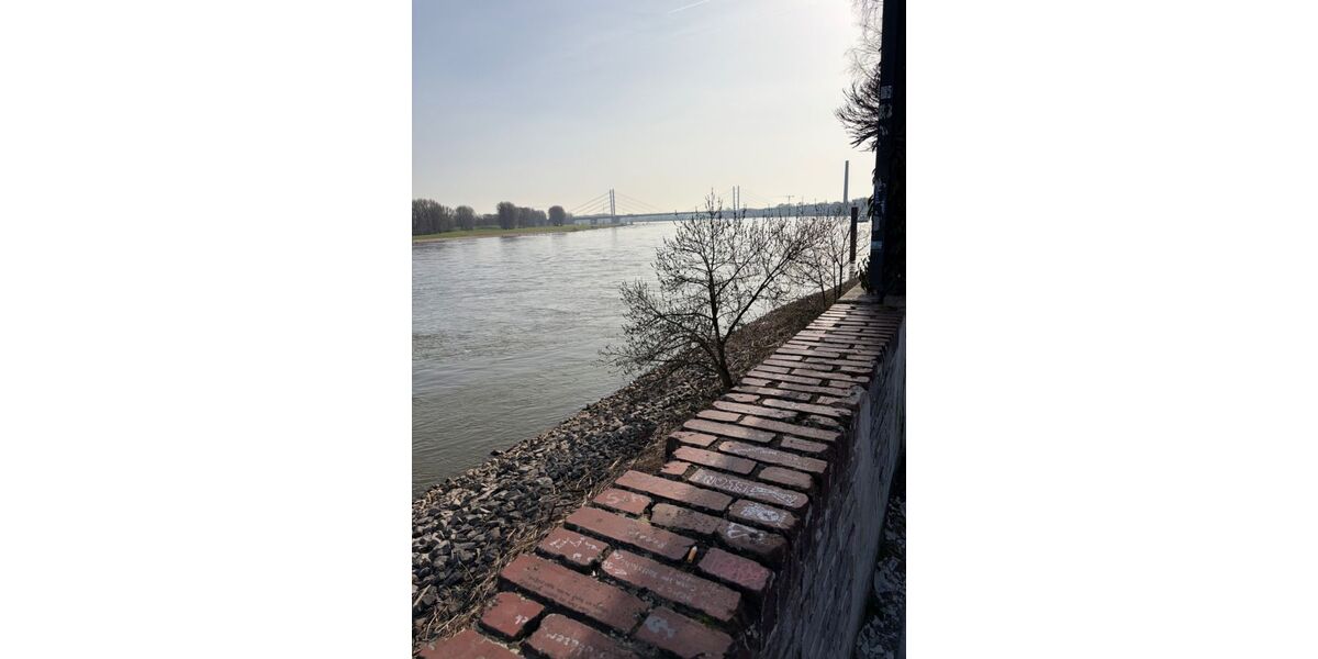 Provisionsfrei* Das letzte Haus Eckhaus EFH mit PV 10,4 KW+Garage 140m zum Rheinufer Energiebedarf 22,4 kWhm2a - Reihenendhaus Duisburg Essenberg | Angebot:25767241