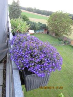 Privatverkauf ETW 84qm mit Balkon und Gartennutzung 4 zimmer