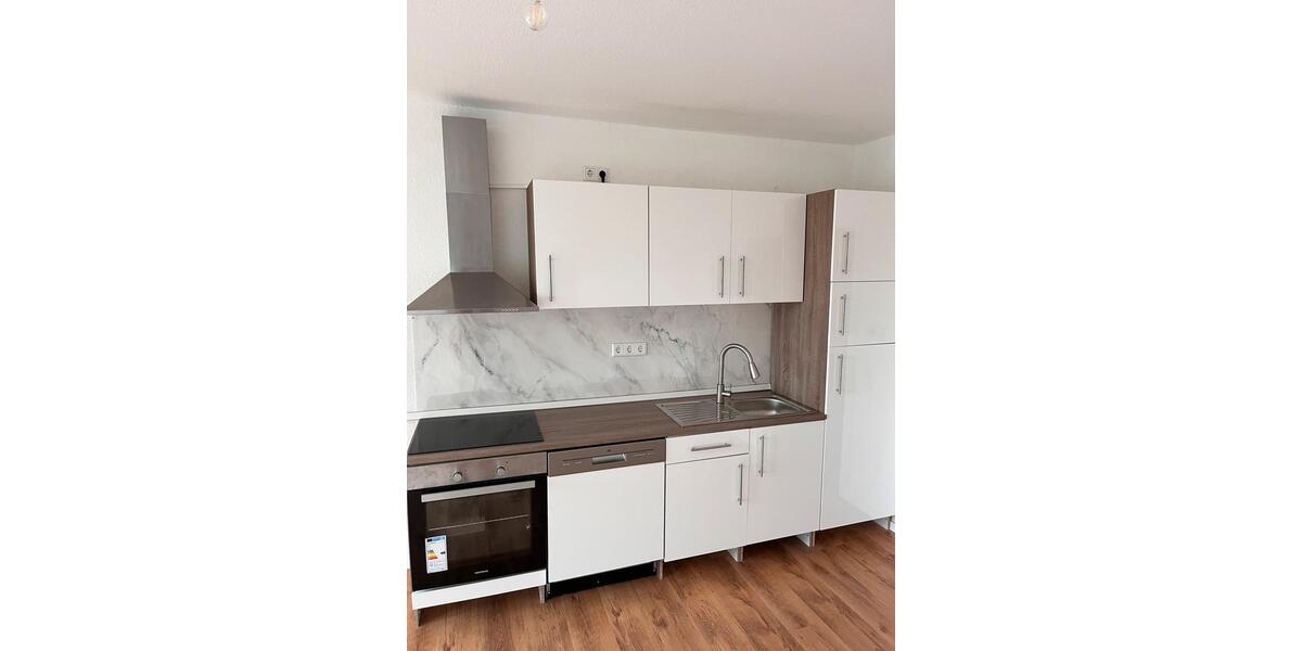 2 Zi Wohnung+ Balkon, 50qm neu saniert ,neue Küche & Bodenheizung 2 zimmer