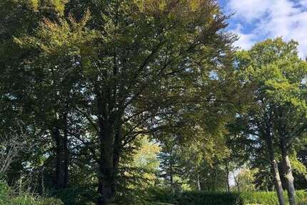 Grundstück zu verkaufen in Köln 1.950.000 € 2000 m² zimmer