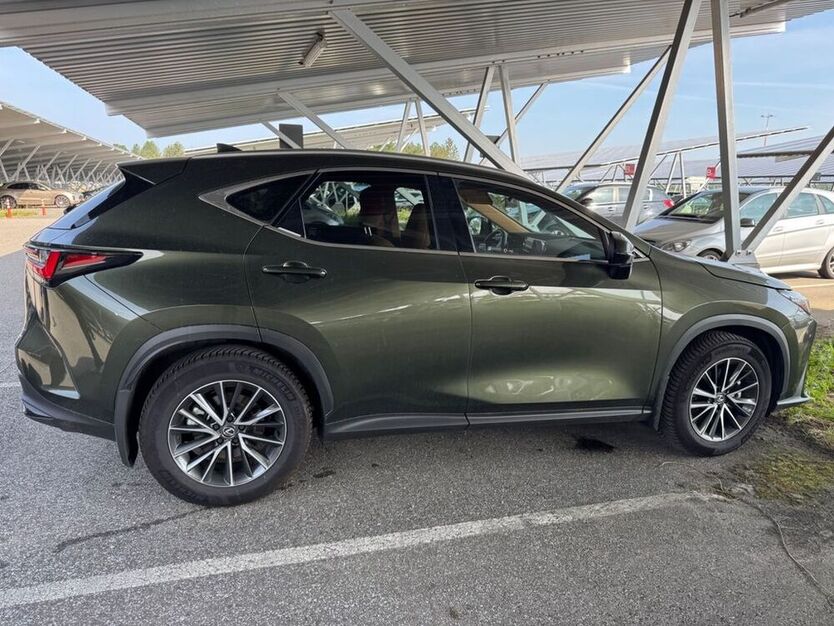 NX 350h