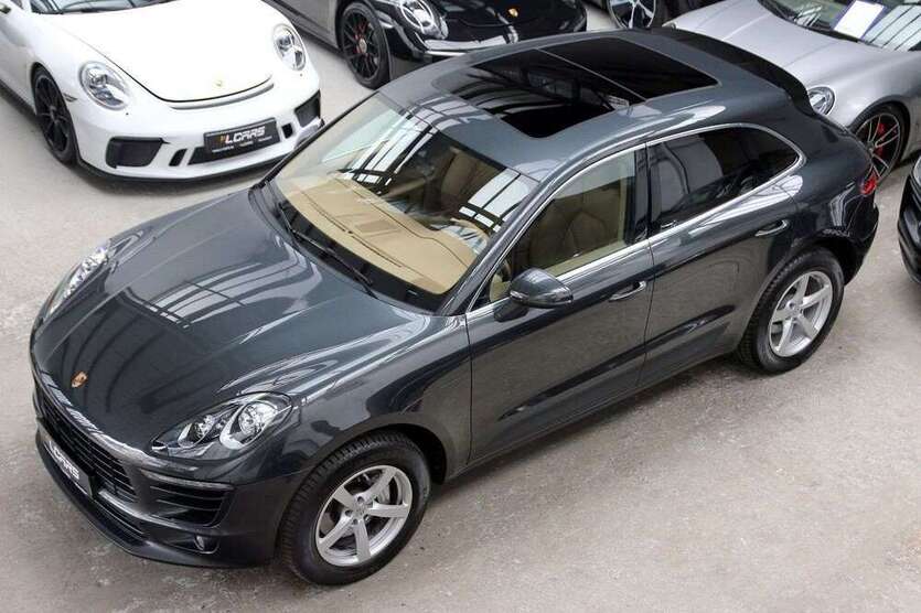 Macan